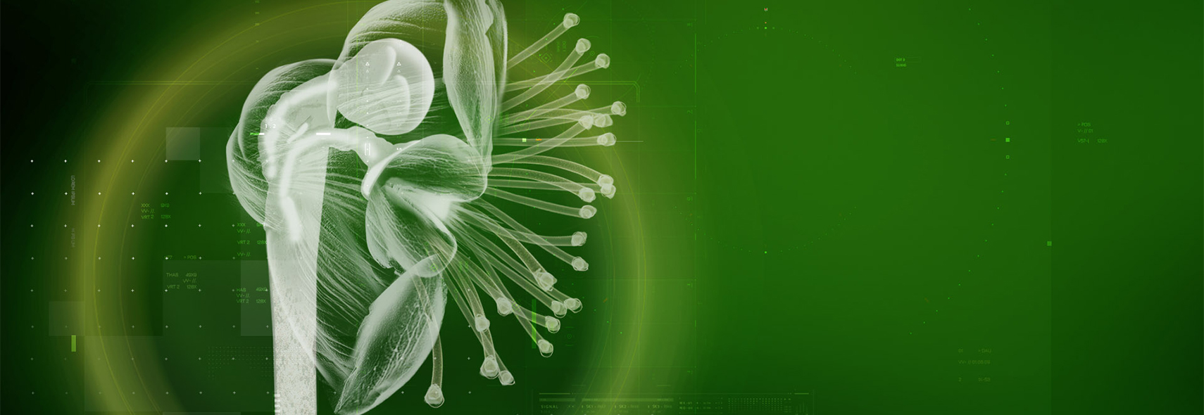 DISCOVER OUR UNIQUE R&D PATH