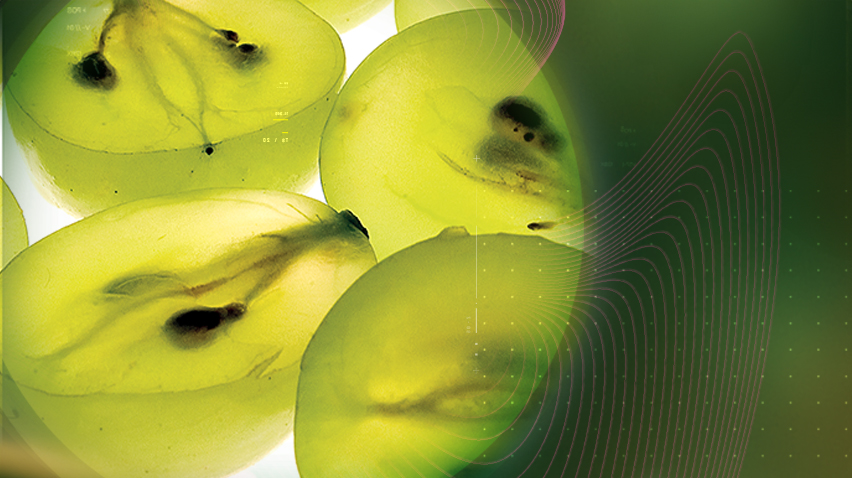 使用 Enovita 进行 React®