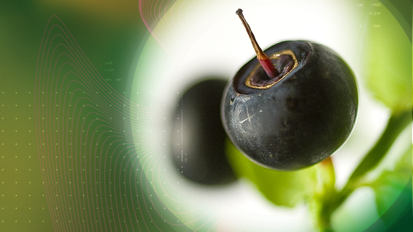 使用 Mirtoselect 进行恢复®