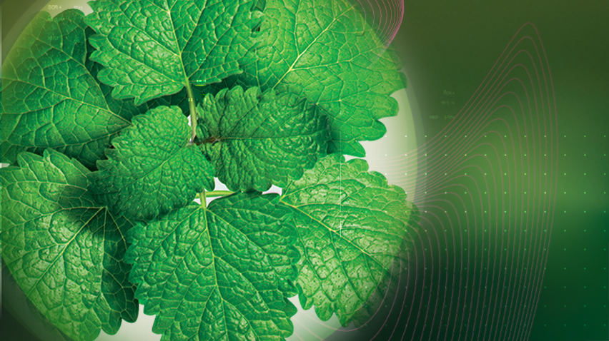 与 Relissa™ 一起放松