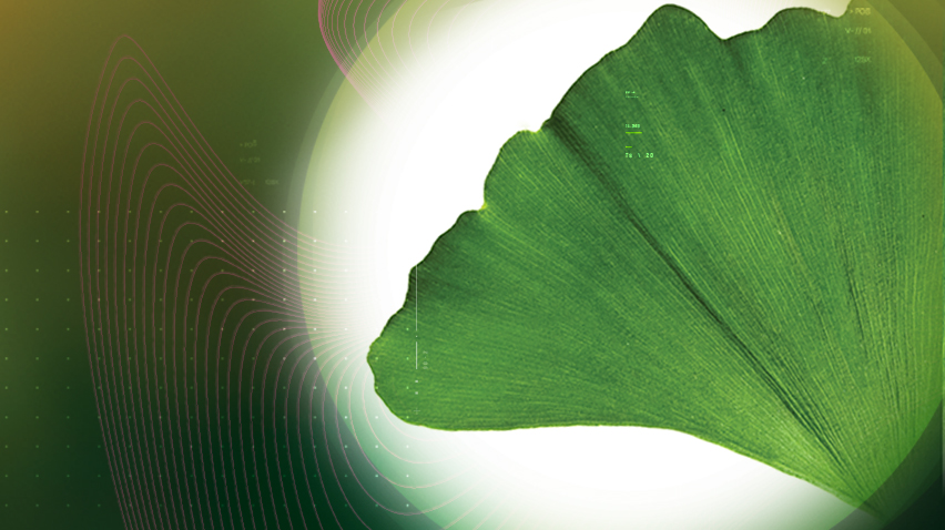 记住 Virtiva® Plus