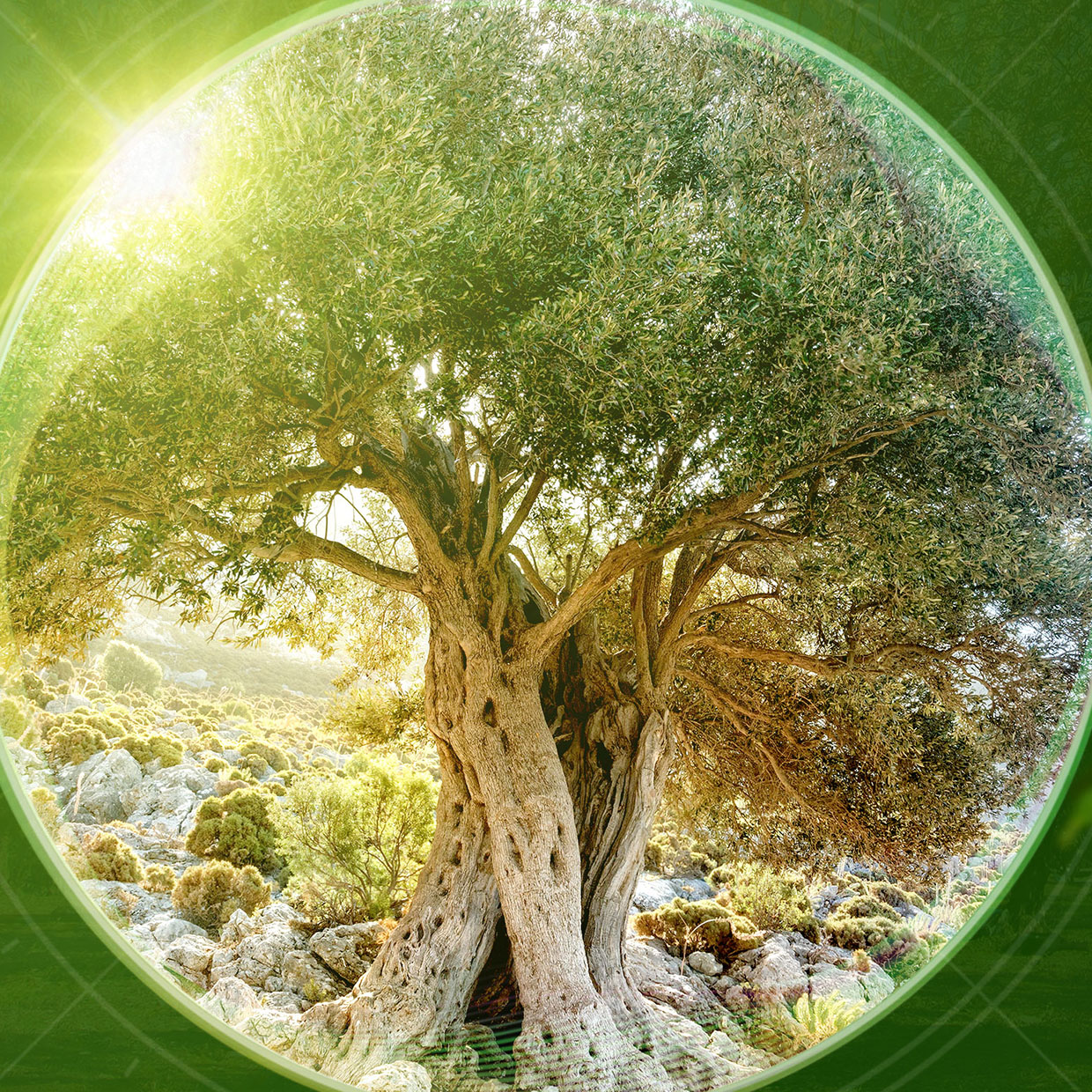 Step up for sustainability